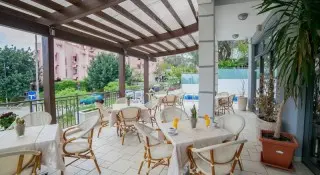 Hotel Paun