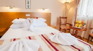 Hotel Paun