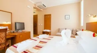 Hotel Paun