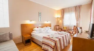 Hotel Paun