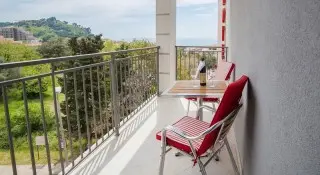 Hotel Paun