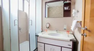 Hotel Paun
