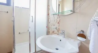Hotel Paun