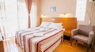 Hotel Paun