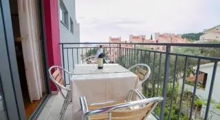 Hotel Paun