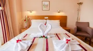 Hotel Paun