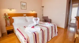 Hotel Paun