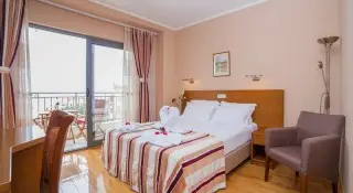 Hotel Paun