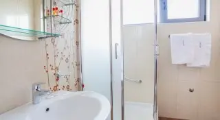 Hotel Paun