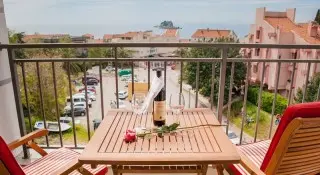 Hotel Paun