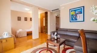 Hotel Paun