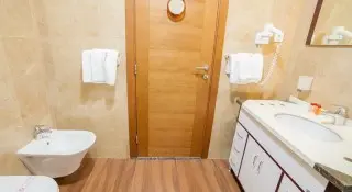 Hotel Paun