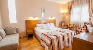 Hotel Paun