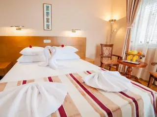 Hotel Paun