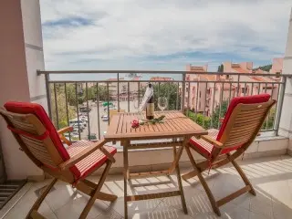 Hotel Paun