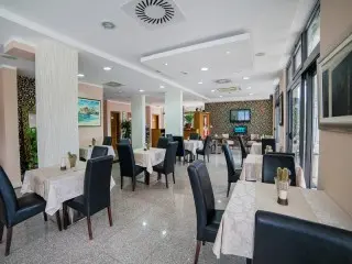 Hotel Paun