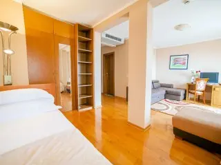 Hotel Paun