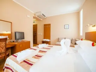 Hotel Paun