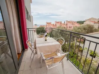 Hotel Paun
