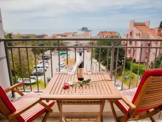 Hotel Paun