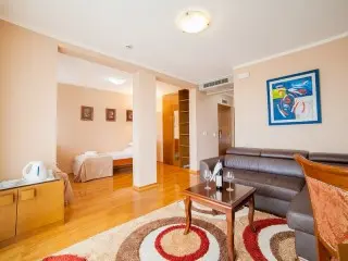 Hotel Paun