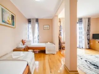 Hotel Paun
