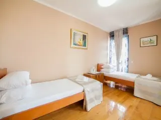 Hotel Paun