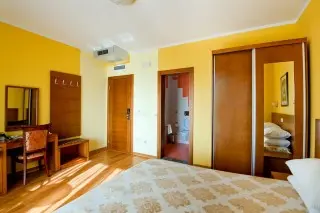 Hotel Paun