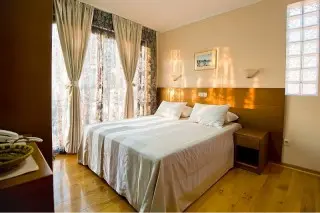 Hotel Paun