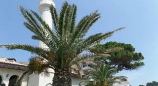 Hotel Mediteran