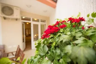 Apartments Sofija