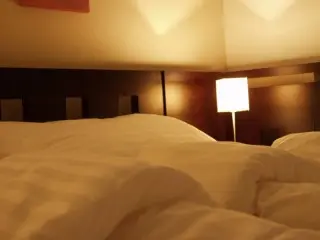 Hotel Tulipan