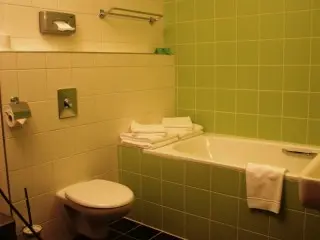 Hotel Tulipan