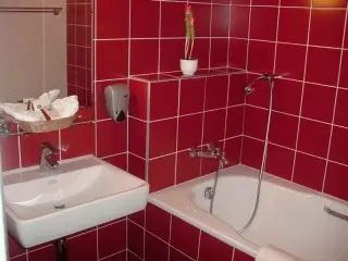 Hotel Tulipan