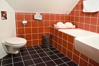 Hotel Tulipan