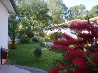 Hotel Velika Plaża