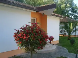 Hotel Velika Plaża