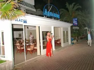 Hotel Aleksandar & Restoran Aquarius