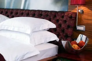 Hotel Forza Mare