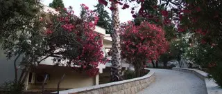 Wind Rose Resort 
