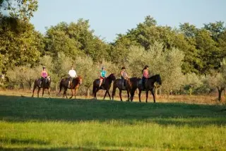 Villa Galijot  Plava Laguna