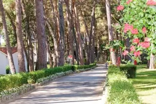 Villa Galijot  Plava Laguna
