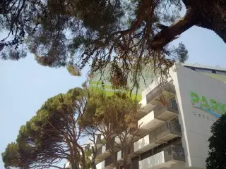 Carine Hotel Park  