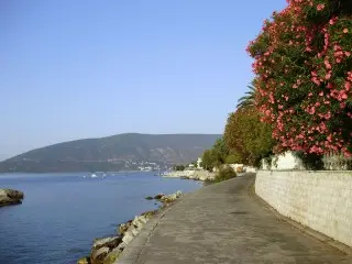 Apartmani Boka Residence