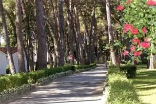 Apartments Galijot Plava Laguna