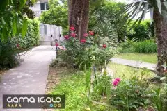 Apartmani GaMa Igalo