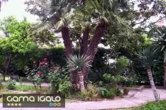 Apartmani GaMa Igalo