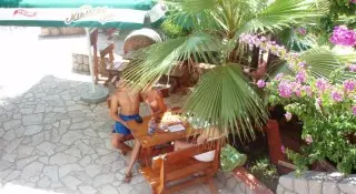 Hotel David 