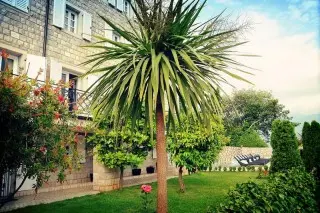 Hotel Per Astra