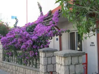 Apartmani Vila Ponta